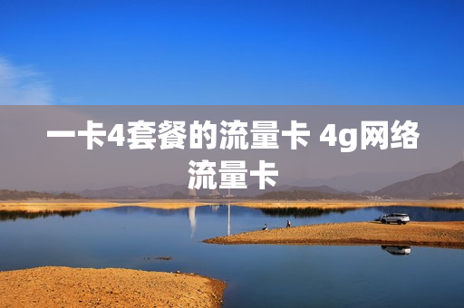一卡4套餐的流量卡 4g网络流量卡