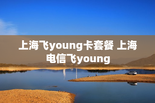上海飞young卡套餐 上海电信飞young