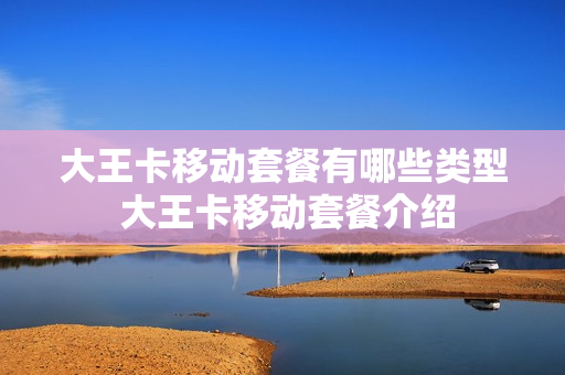 大王卡移动套餐有哪些类型 大王卡移动套餐介绍