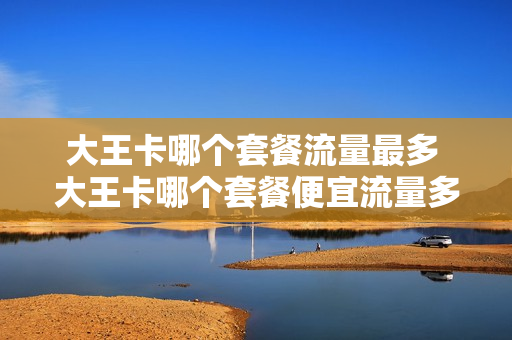 大王卡哪个套餐流量最多 大王卡哪个套餐便宜流量多