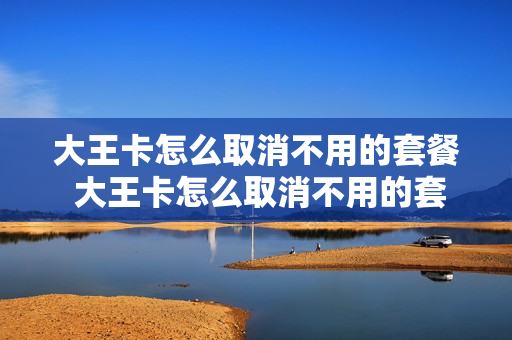 大王卡怎么取消不用的套餐 大王卡怎么取消不用的套餐移动