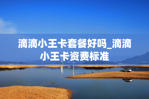 滴滴小王卡套餐好吗_滴滴小王卡资费标准
