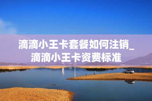 滴滴小王卡套餐如何注销_滴滴小王卡资费标准