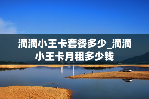 滴滴小王卡套餐多少_滴滴小王卡月租多少钱
