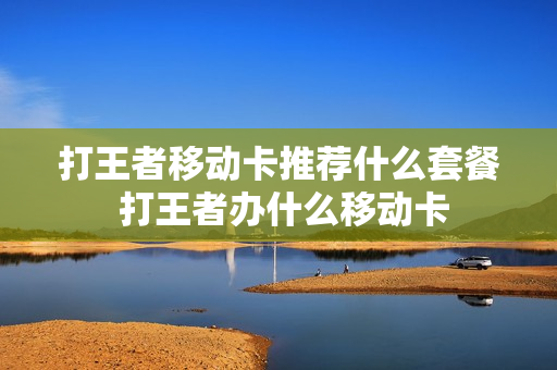 打王者移动卡推荐什么套餐 打王者办什么移动卡