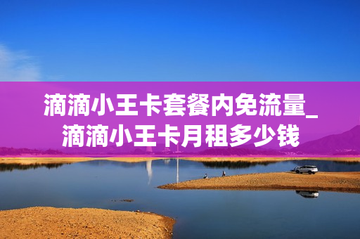 滴滴小王卡套餐内免流量_滴滴小王卡月租多少钱