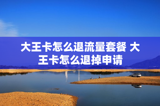 大王卡怎么退流量套餐 大王卡怎么退掉申请