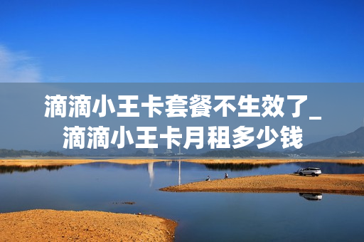 滴滴小王卡套餐不生效了_滴滴小王卡月租多少钱