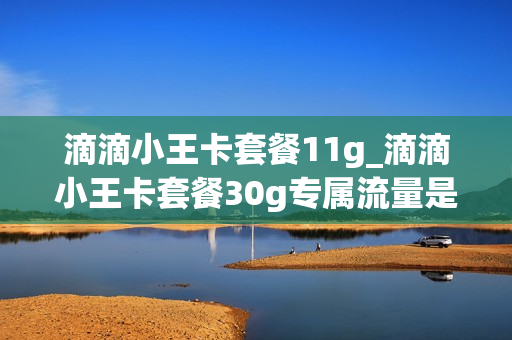 滴滴小王卡套餐11g_滴滴小王卡套餐30g专属流量是什么