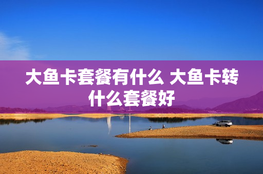 大鱼卡套餐有什么 大鱼卡转什么套餐好