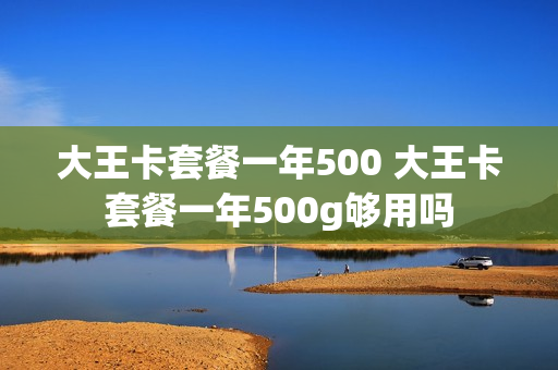 大王卡套餐一年500 大王卡套餐一年500g够用吗