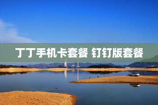 丁丁手机卡套餐 钉钉版套餐