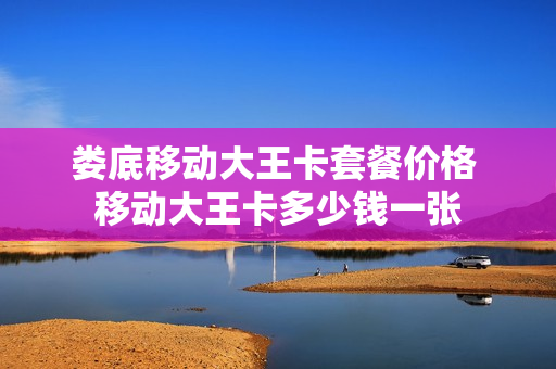 娄底移动大王卡套餐价格 移动大王卡多少钱一张