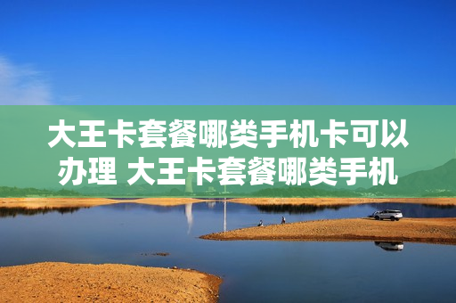 大王卡套餐哪类手机卡可以办理 大王卡套餐哪类手机卡可以办理副卡