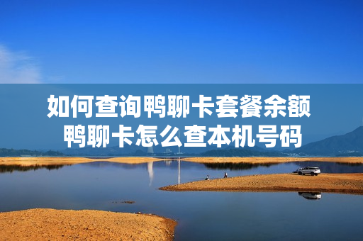 如何查询鸭聊卡套餐余额 鸭聊卡怎么查本机号码
