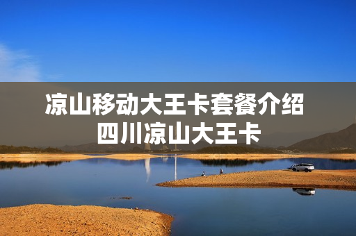 凉山移动大王卡套餐介绍 四川凉山大王卡