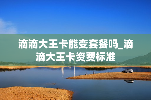滴滴大王卡能变套餐吗_滴滴大王卡资费标准
