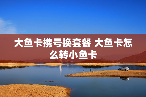 大鱼卡携号换套餐 大鱼卡怎么转小鱼卡