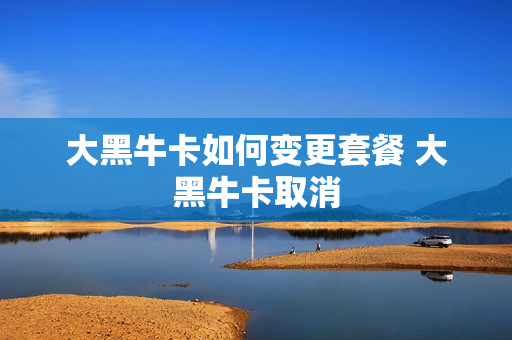 大黑牛卡如何变更套餐 大黑牛卡取消