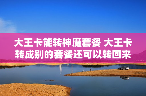大王卡能转神魔套餐 大王卡转成别的套餐还可以转回来吗