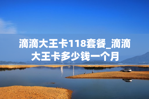 滴滴大王卡118套餐_滴滴大王卡多少钱一个月