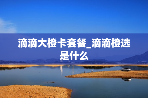 滴滴大橙卡套餐_滴滴橙选是什么