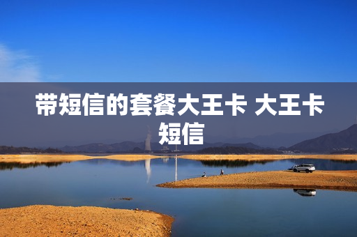 带短信的套餐大王卡 大王卡 短信