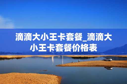 滴滴大小王卡套餐_滴滴大小王卡套餐价格表