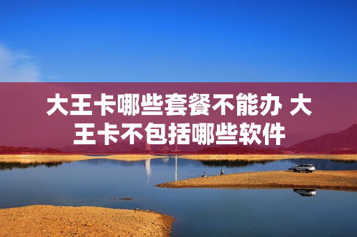 大王卡哪些套餐不能办 大王卡不包括哪些软件
