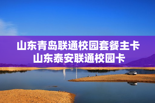 山东青岛联通校园套餐主卡 山东泰安联通校园卡
