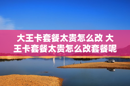 大王卡套餐太贵怎么改 大王卡套餐太贵怎么改套餐呢