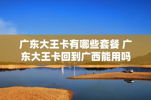 广东大王卡有哪些套餐 广东大王卡回到广西能用吗