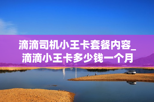 滴滴司机小王卡套餐内容_滴滴小王卡多少钱一个月