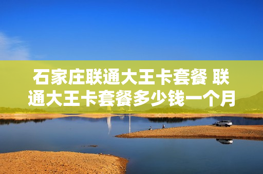 石家庄联通大王卡套餐 联通大王卡套餐多少钱一个月