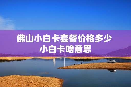 佛山小白卡套餐价格多少 小白卡啥意思