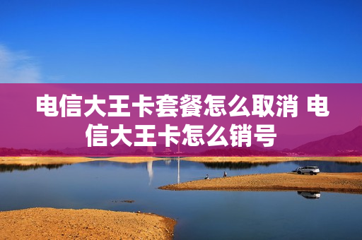 电信大王卡套餐怎么取消 电信大王卡怎么销号