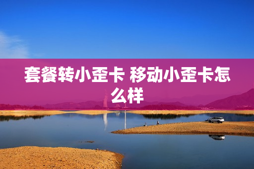 套餐转小歪卡 移动小歪卡怎么样