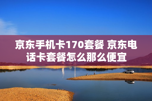 京东手机卡170套餐 京东电话卡套餐怎么那么便宜