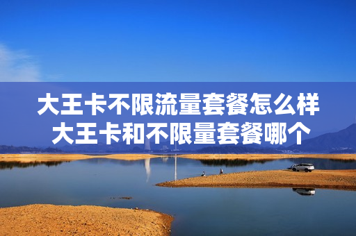 大王卡不限流量套餐怎么样 大王卡和不限量套餐哪个好