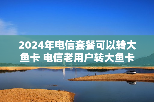 2024年电信套餐可以转大鱼卡 电信老用户转大鱼卡
