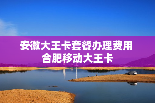 安徽大王卡套餐办理费用 合肥移动大王卡