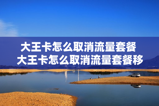 大王卡怎么取消流量套餐 大王卡怎么取消流量套餐移动