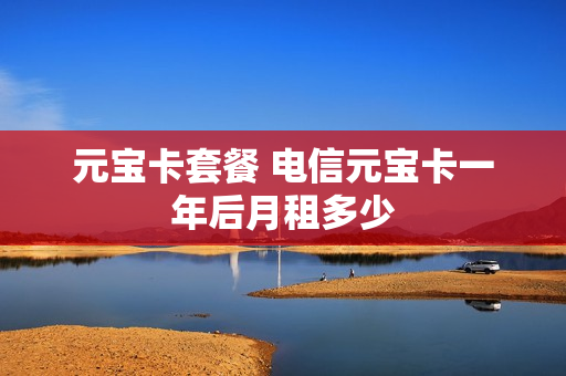 元宝卡套餐 电信元宝卡一年后月租多少