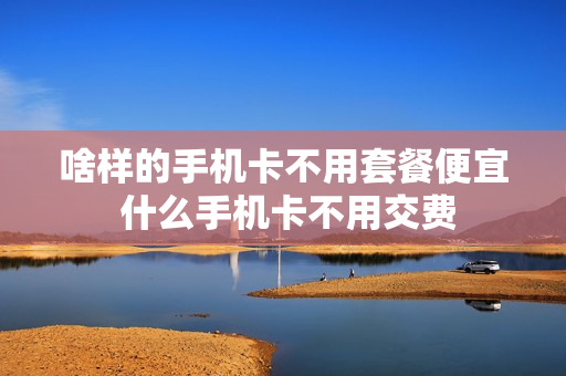 啥样的手机卡不用套餐便宜 什么手机卡不用交费