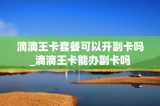 滴滴王卡套餐可以开副卡吗_滴滴王卡能办副卡吗