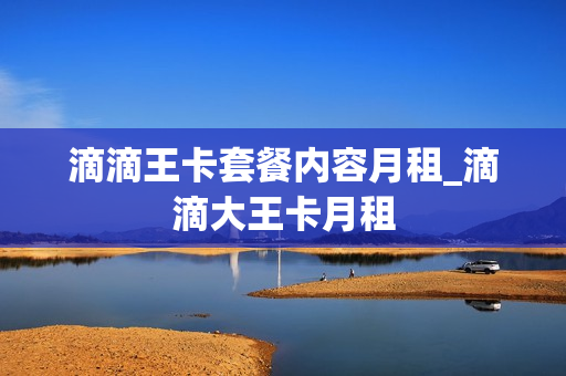 滴滴王卡套餐内容月租_滴滴大王卡月租