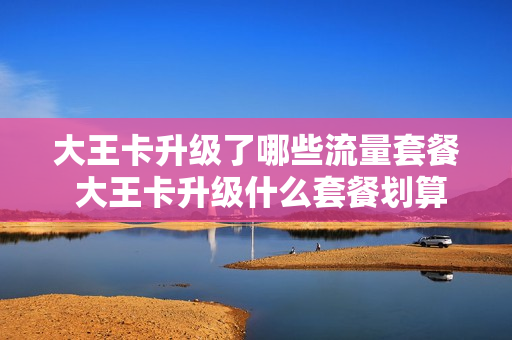 大王卡升级了哪些流量套餐 大王卡升级什么套餐划算