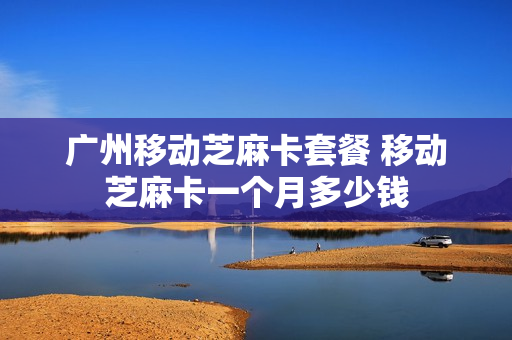 广州移动芝麻卡套餐 移动芝麻卡一个月多少钱