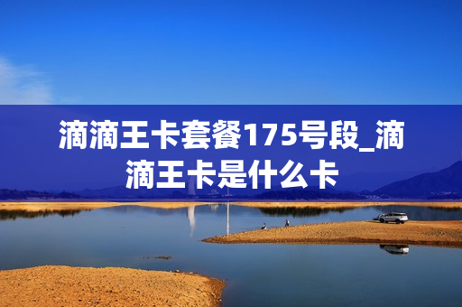 滴滴王卡套餐175号段_滴滴王卡是什么卡