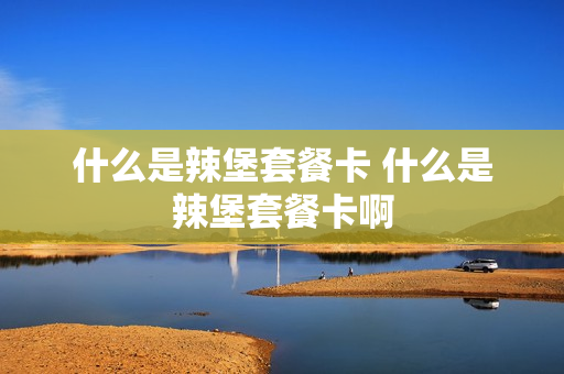 什么是辣堡套餐卡 什么是辣堡套餐卡啊